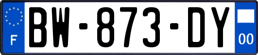 BW-873-DY