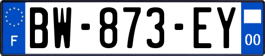 BW-873-EY