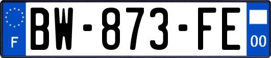 BW-873-FE