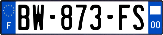 BW-873-FS