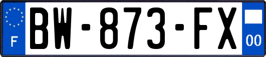 BW-873-FX