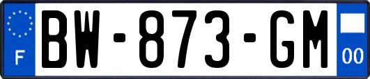 BW-873-GM