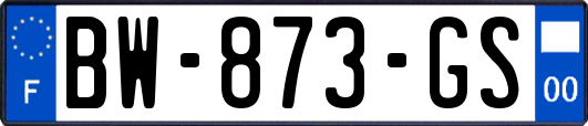 BW-873-GS