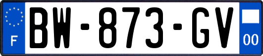 BW-873-GV