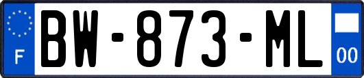 BW-873-ML