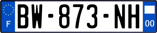 BW-873-NH