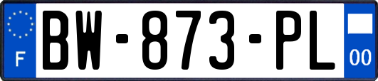 BW-873-PL