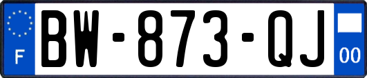BW-873-QJ