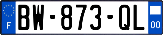 BW-873-QL