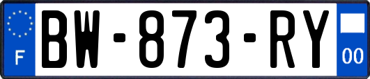 BW-873-RY