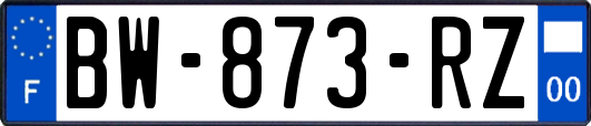 BW-873-RZ