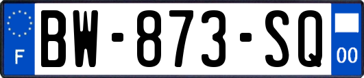 BW-873-SQ