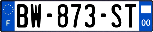 BW-873-ST