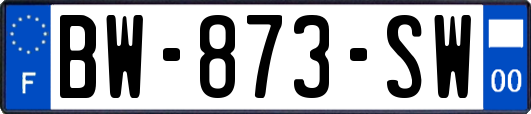 BW-873-SW