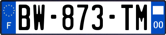 BW-873-TM