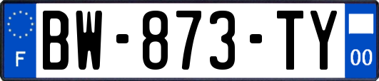 BW-873-TY