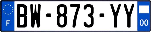 BW-873-YY