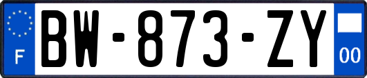 BW-873-ZY