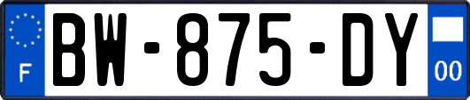 BW-875-DY