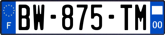 BW-875-TM