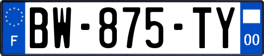 BW-875-TY