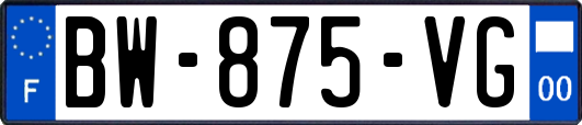 BW-875-VG