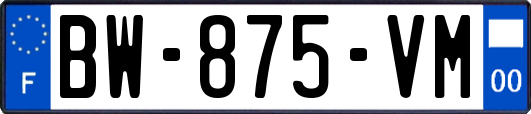 BW-875-VM