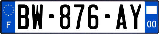 BW-876-AY