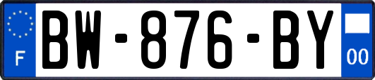 BW-876-BY