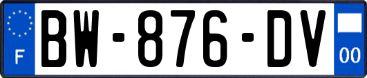 BW-876-DV