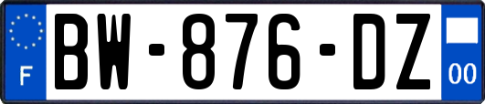 BW-876-DZ