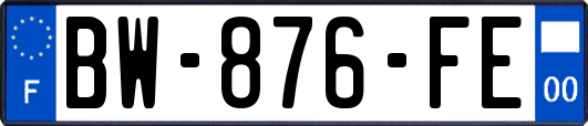 BW-876-FE