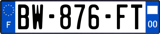 BW-876-FT
