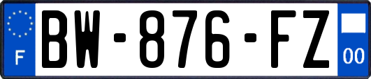BW-876-FZ