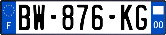 BW-876-KG