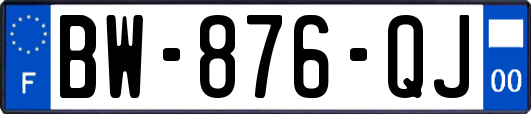 BW-876-QJ