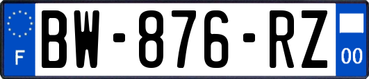 BW-876-RZ