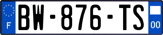 BW-876-TS