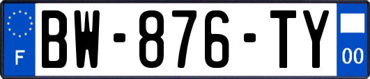 BW-876-TY
