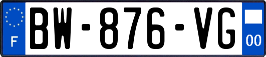BW-876-VG