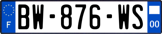 BW-876-WS