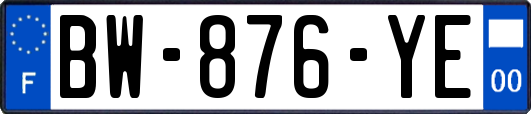 BW-876-YE