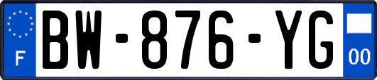 BW-876-YG