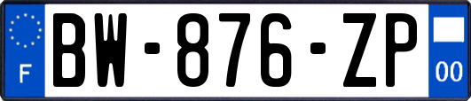 BW-876-ZP