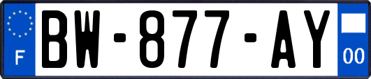 BW-877-AY