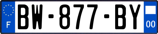 BW-877-BY