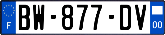 BW-877-DV