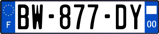 BW-877-DY