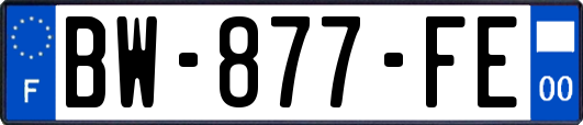 BW-877-FE