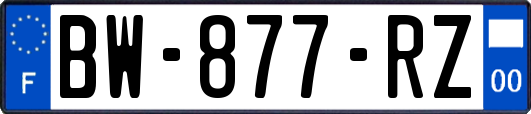 BW-877-RZ